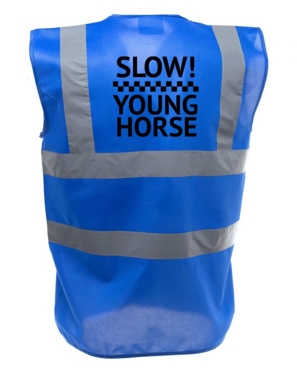 Young Horse Royal Blue Hi Vis