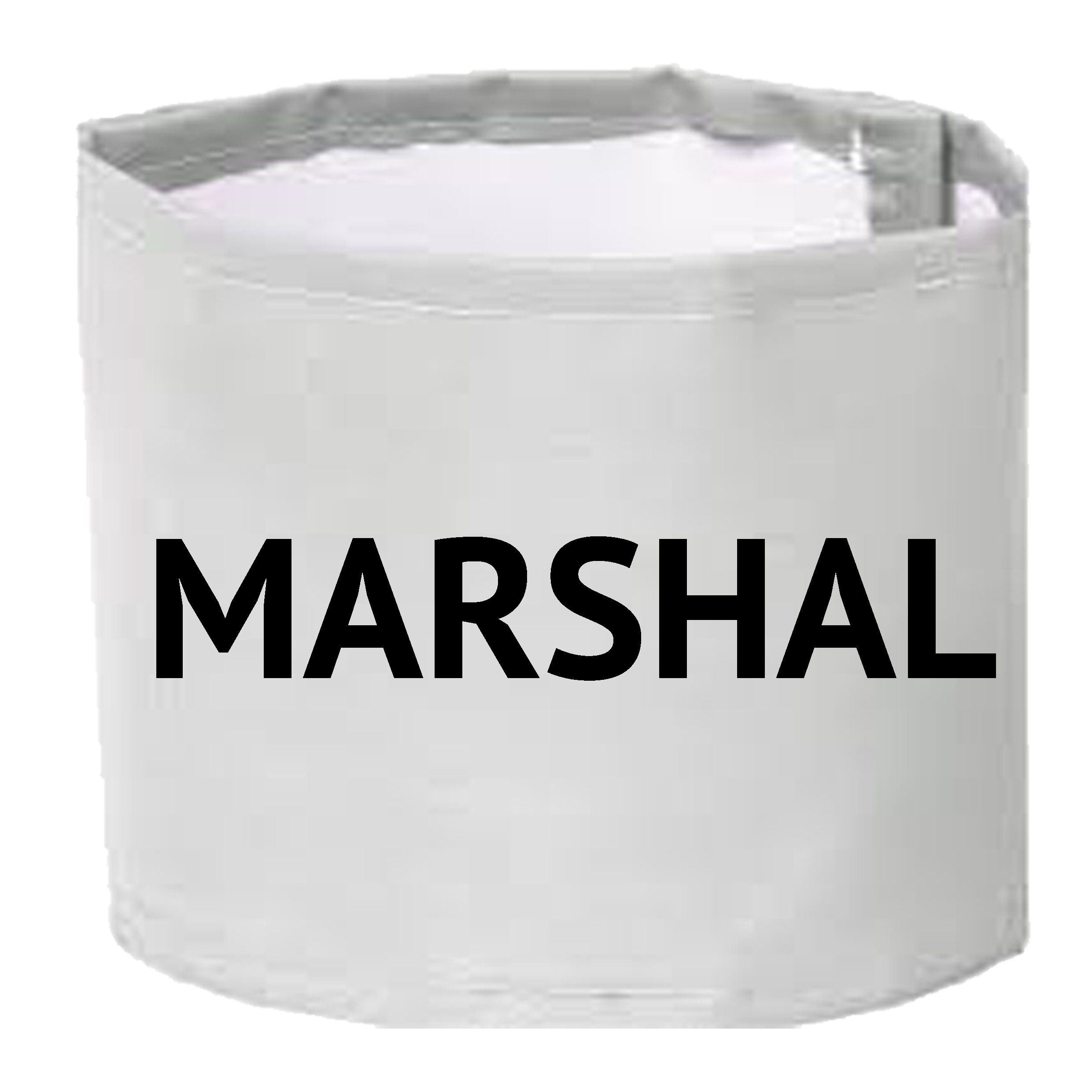 WHITE armband marshal